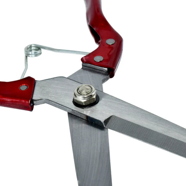 Foarfeca de tuns oi model HS02